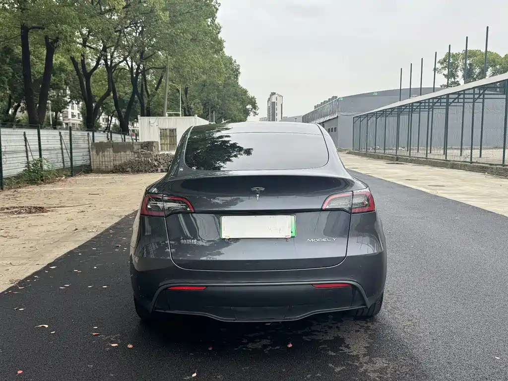 Tesla Model Y — миниатюра 13