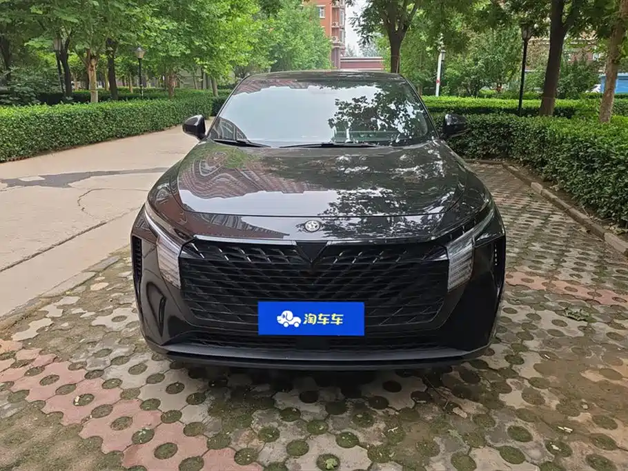 Venucia V 2022 260T