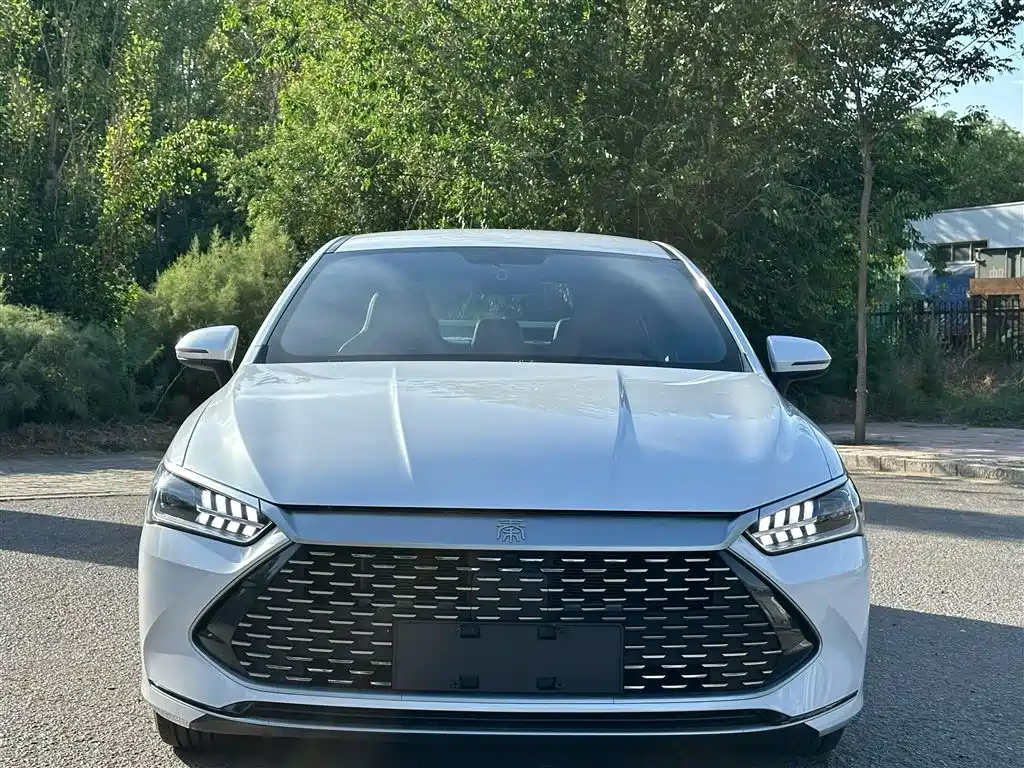 BYD Qin Plus PLUS 2023 Champion DM-i 55KM Lead