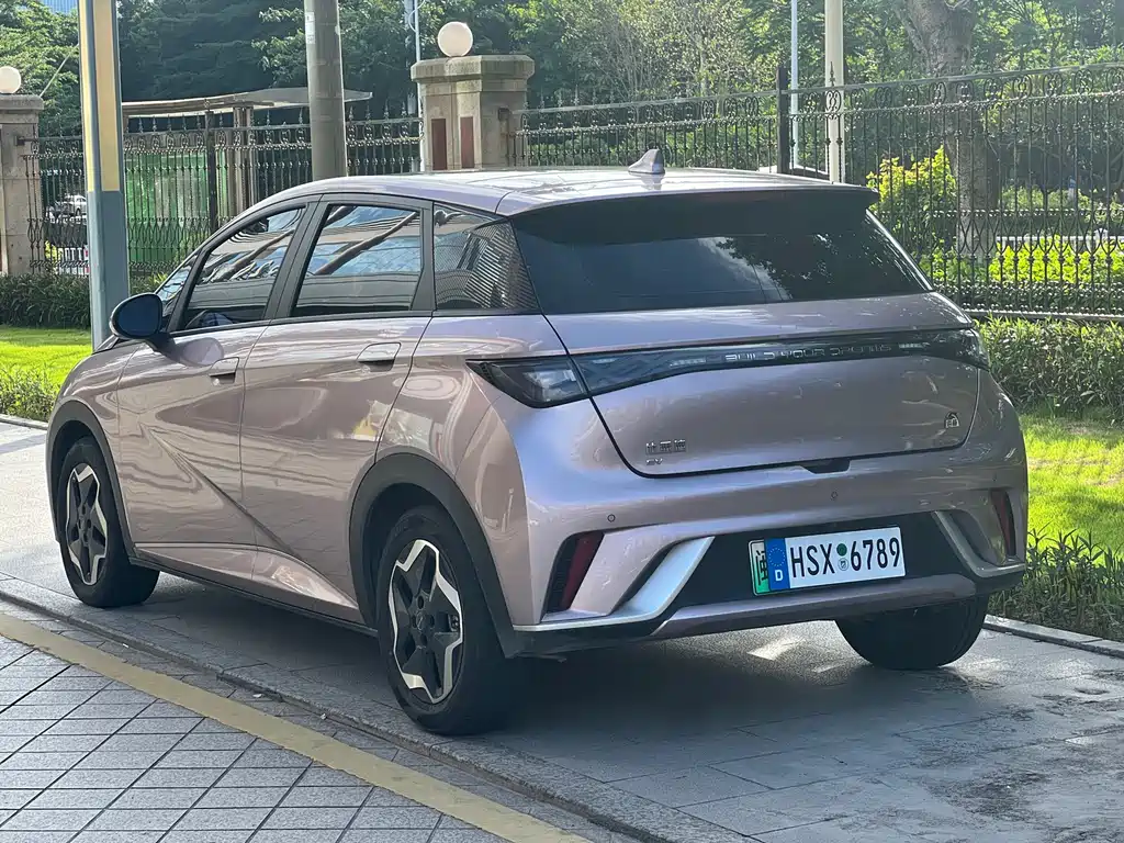 BYD Dolphin 2021 405km Fashion