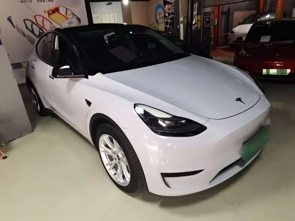 Tesla Model Y — миниатюра 4