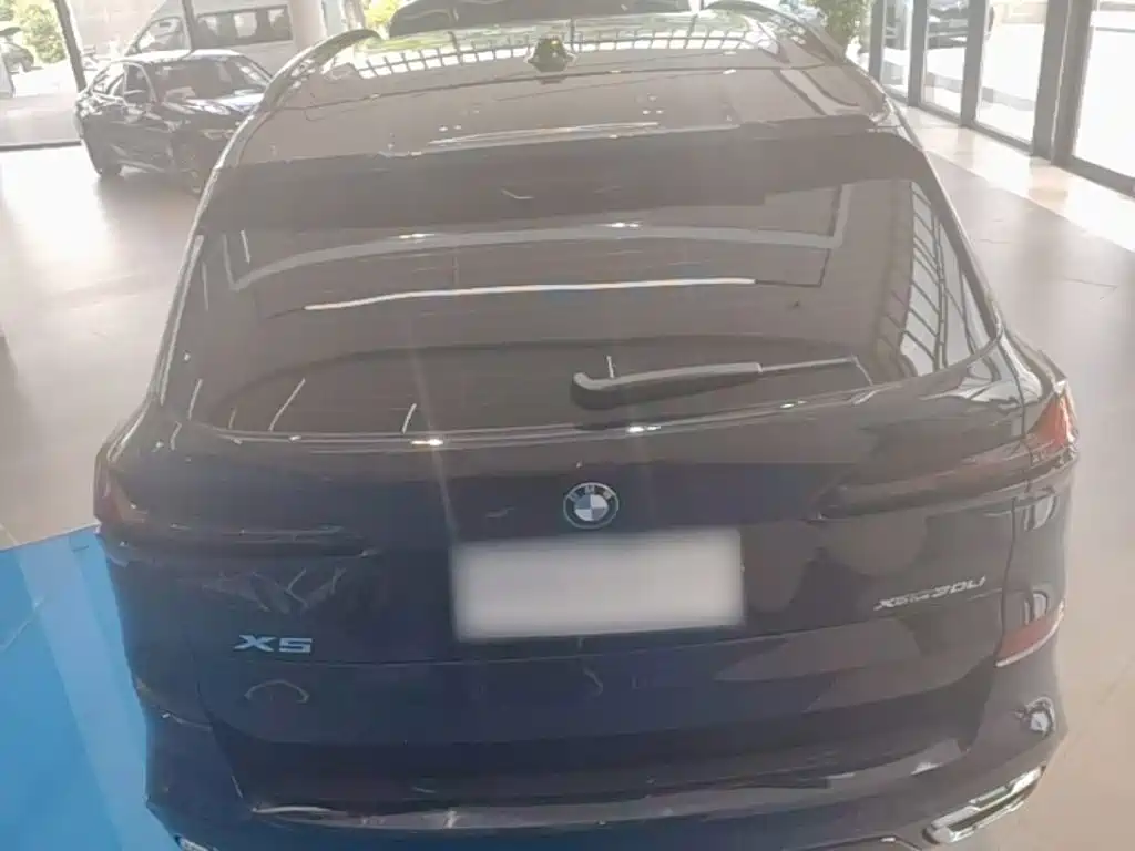 BMW X5 — миниатюра 6