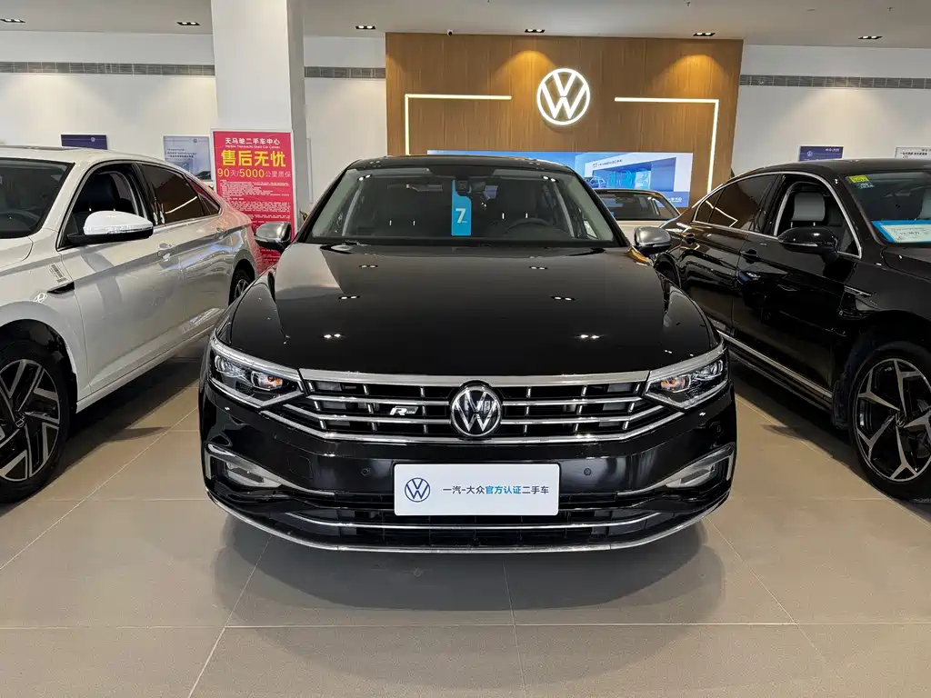 Volkswagen Magotan — миниатюра 2