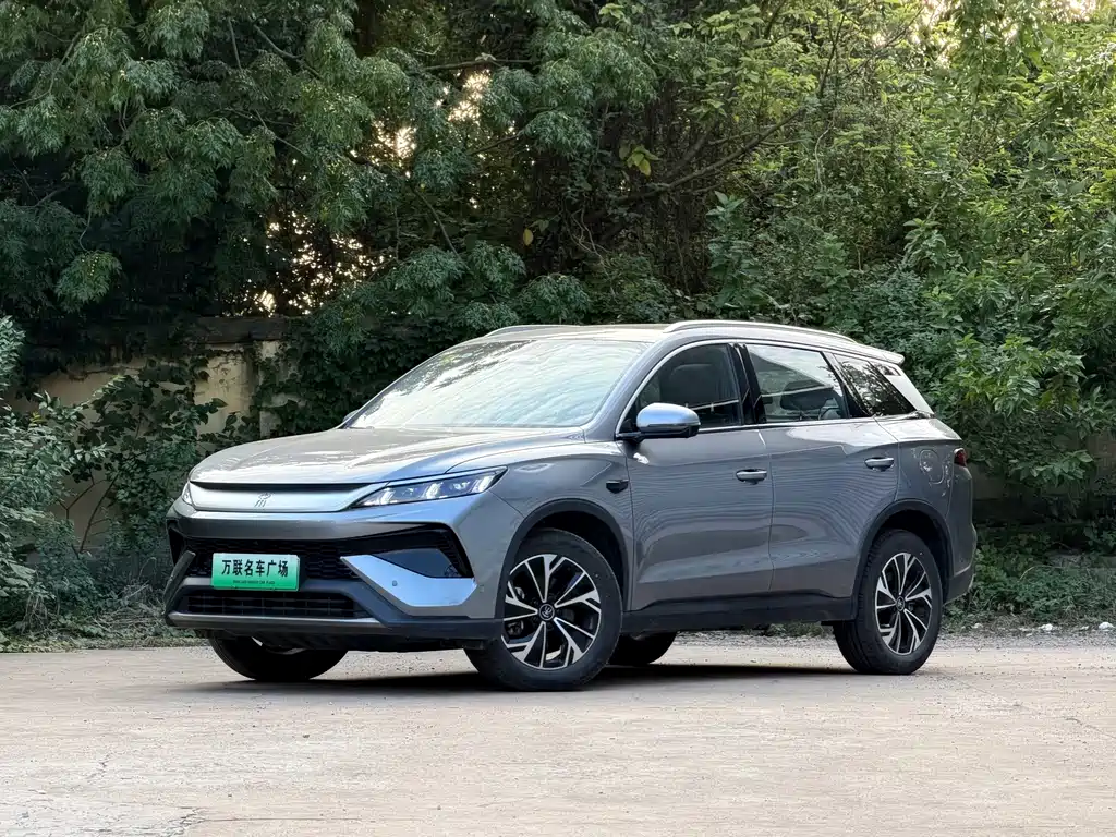 BYD Pro New Energy