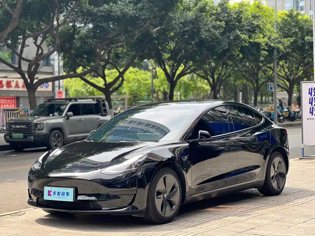 Tesla Model 3 2022