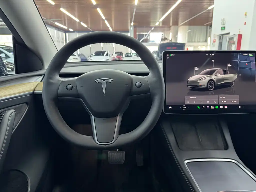 Tesla Model Y — миниатюра 14