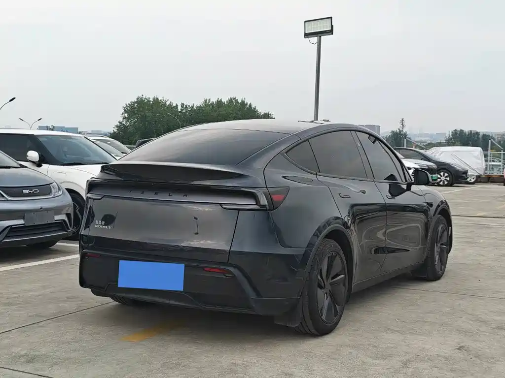 Tesla Model Y — миниатюра 5