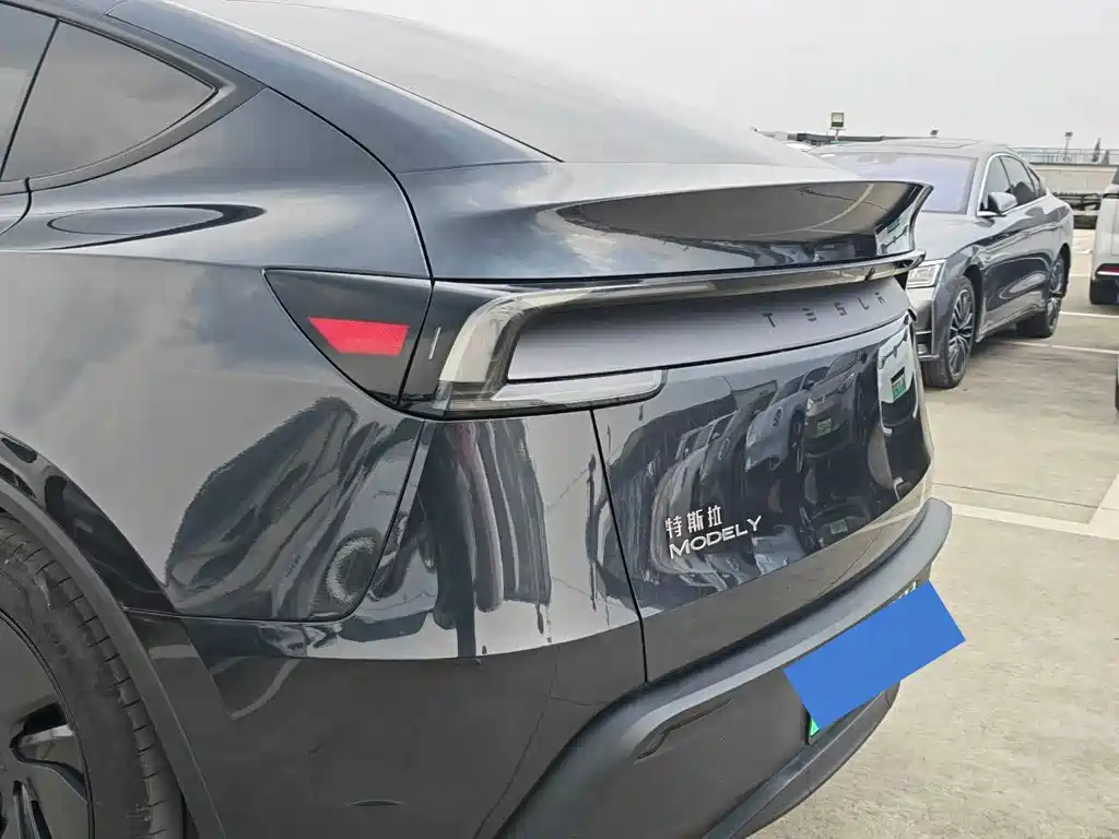 Tesla Model Y — миниатюра 19