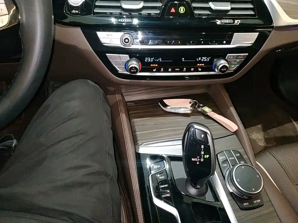 BMW 5 Series 5 2022 530Li xDrive Luxury