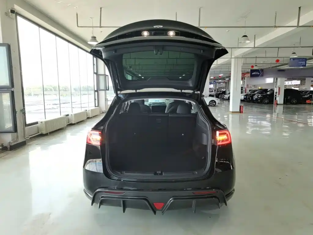 Tesla Model Y — миниатюра 19