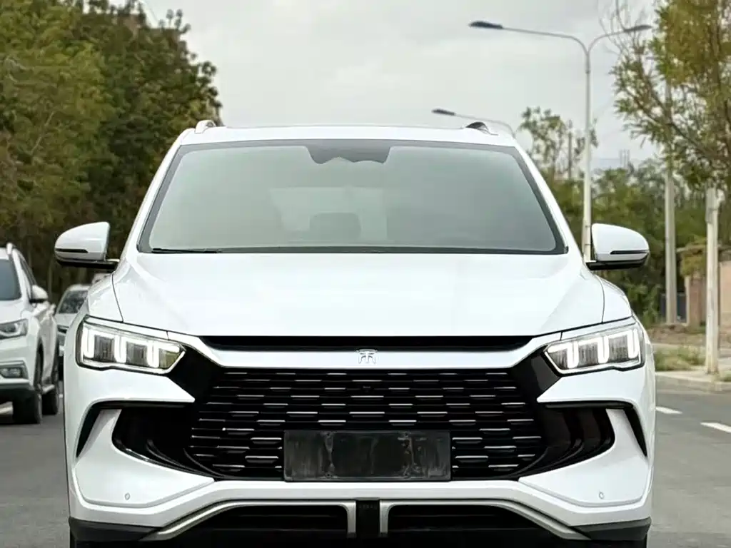 BYD Pro New Energy — миниатюра 2