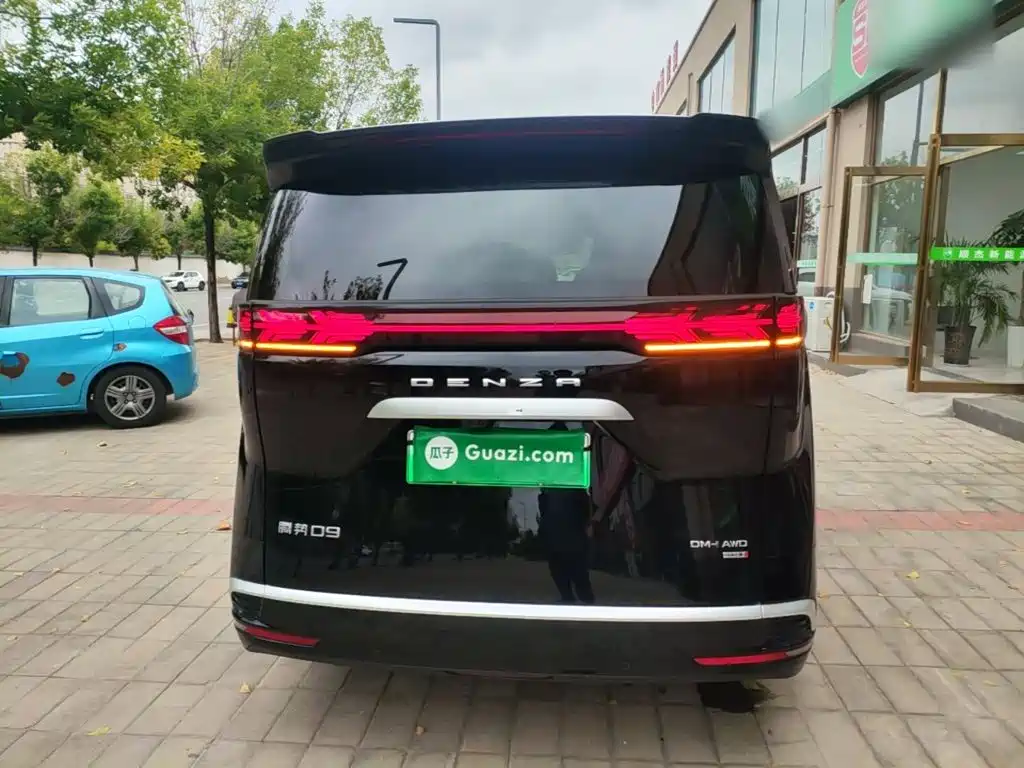 Denza Denza D9 — миниатюра 6