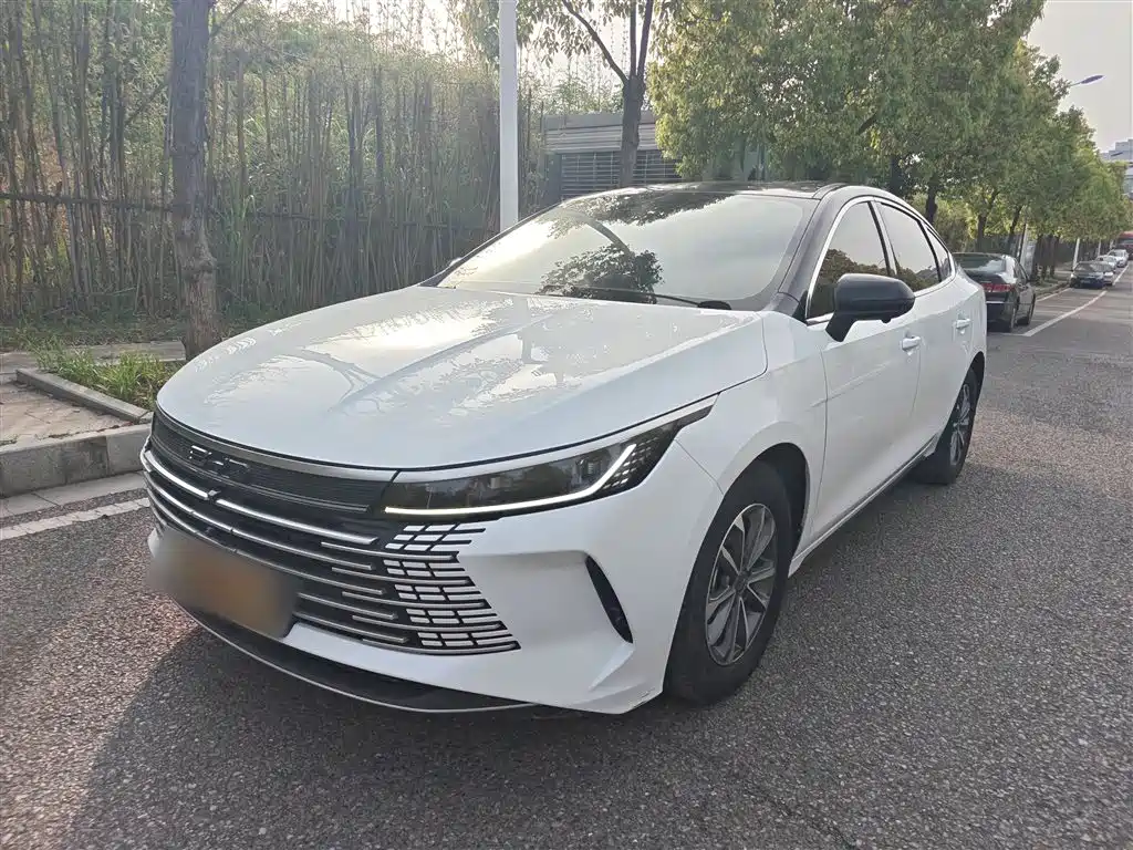 Byd Destroyer 05 2024