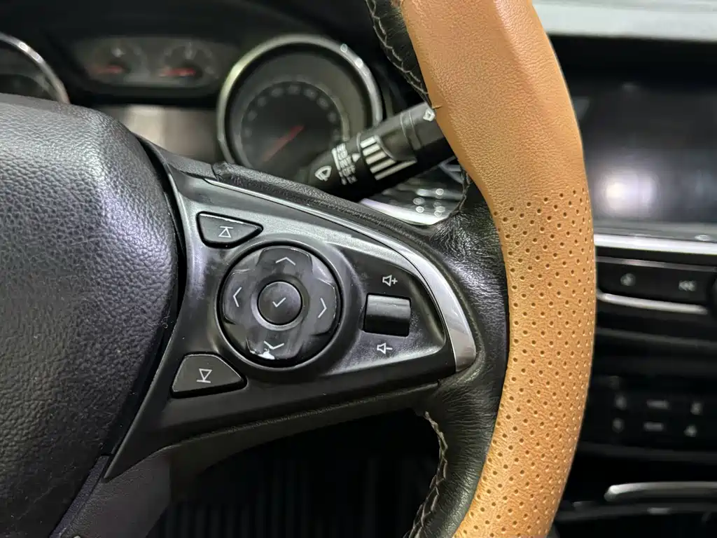 Buick Regal — миниатюра 16