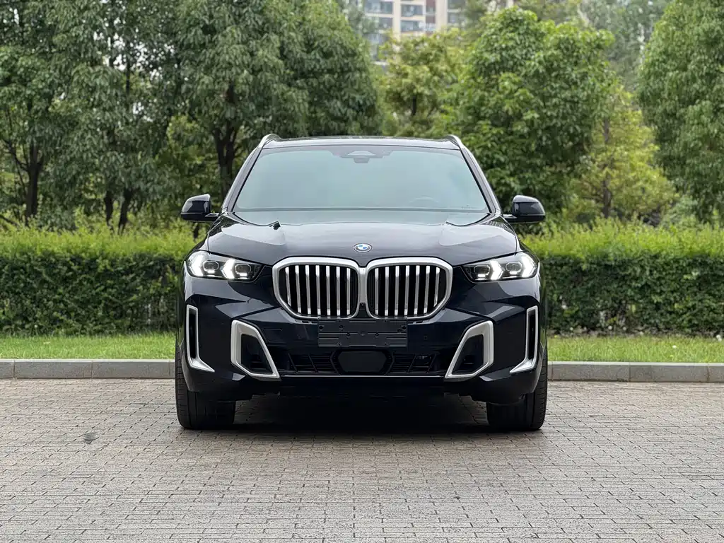 BMW X5 2023 xDrive 40Li M Sport