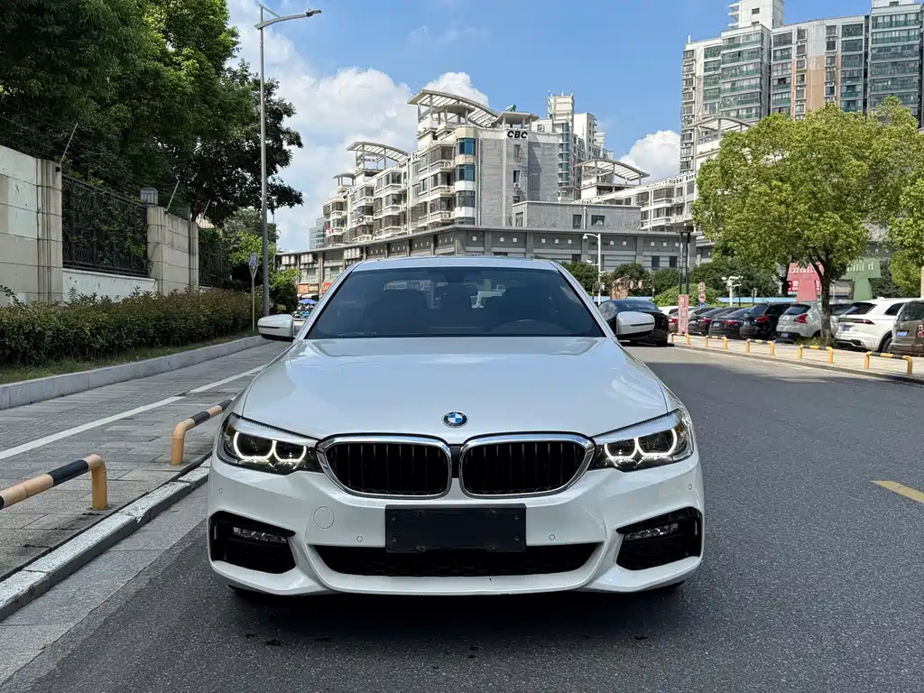 BMW 5 Series — миниатюра 2
