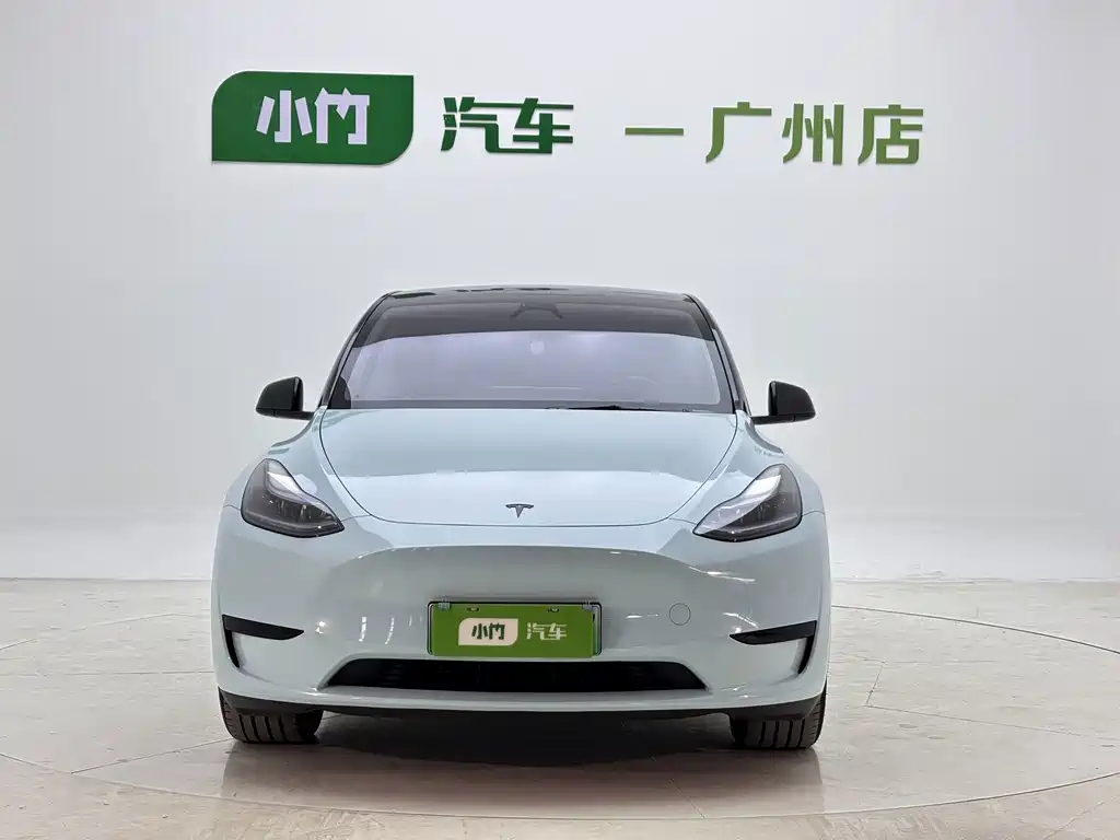 Tesla Model Y — миниатюра 3
