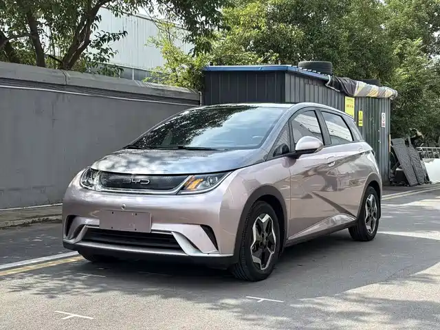 2022 BYD Dolphin