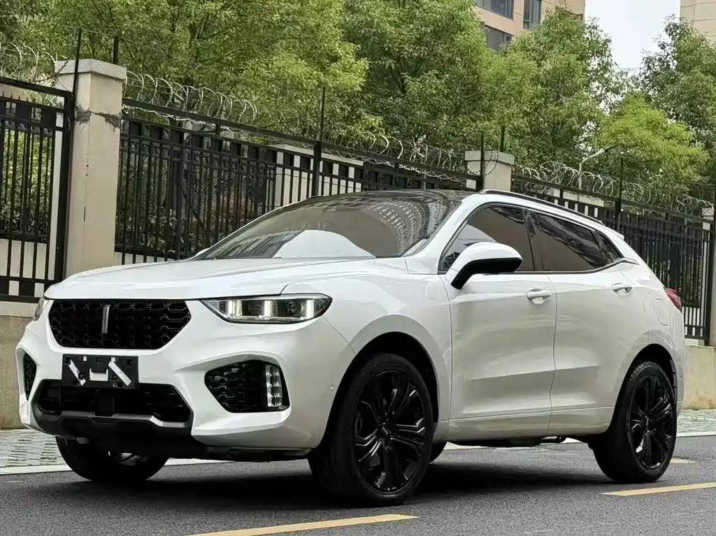 Wey Wey VV5