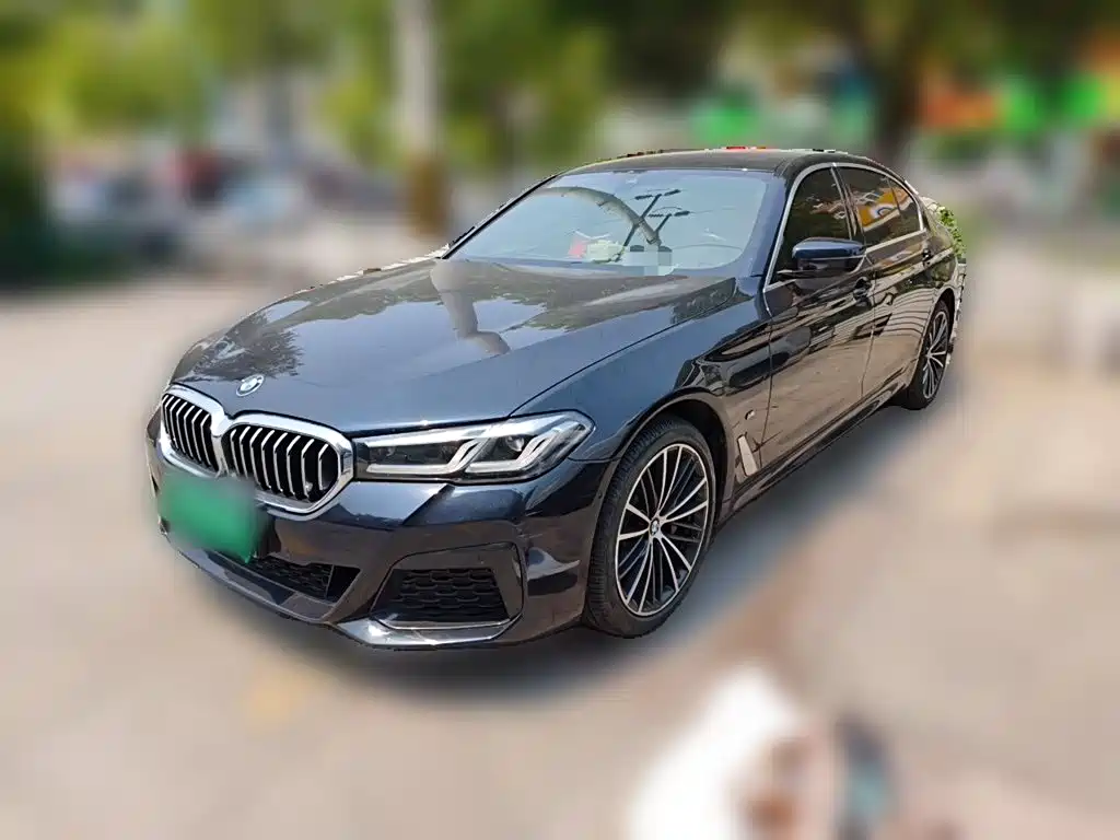BMW 5 Series 2021 530Li xDrive M Sport Package