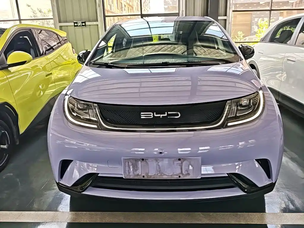 BYD Dolphin — миниатюра 3