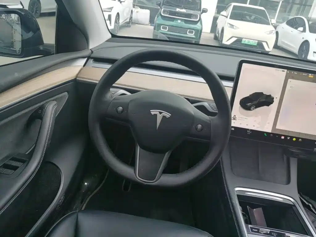 Tesla Model Y — миниатюра 11