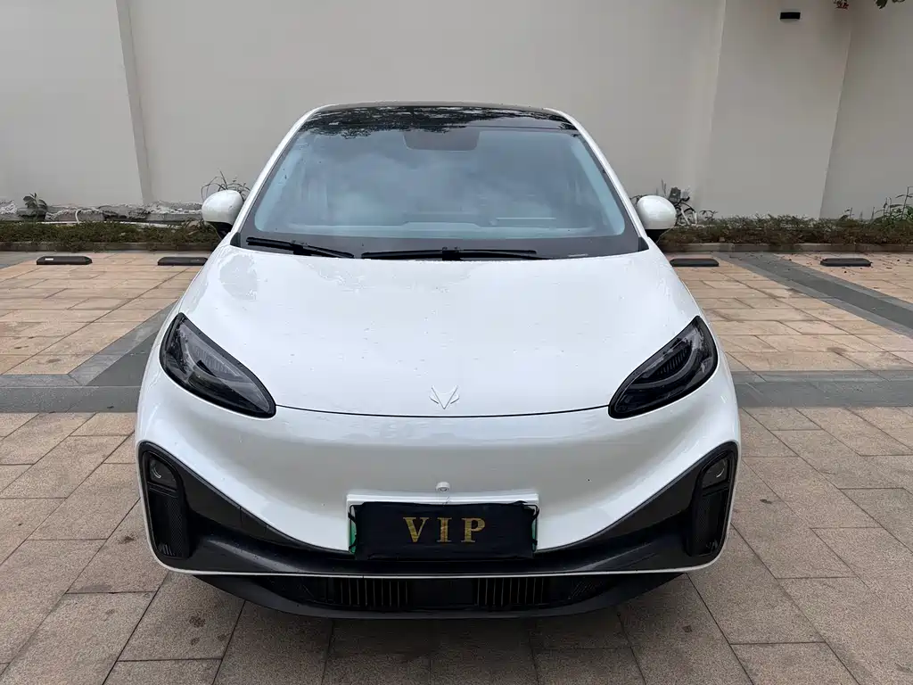 ARCFOX EXTREME FOX POLAR FOX KOALA S