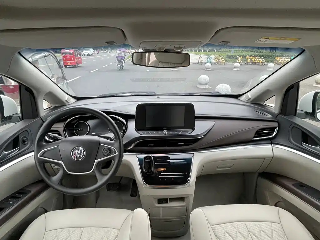 Buick GL8 — миниатюра 5
