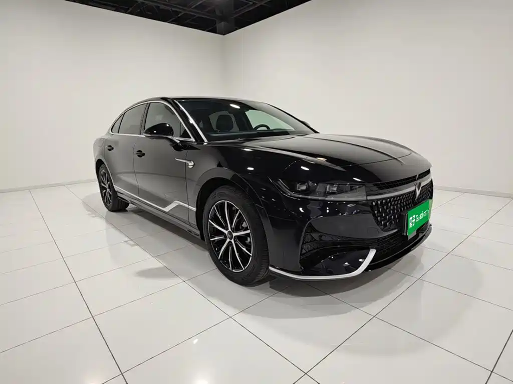 Voyah Passion 2024 PHEV Executive