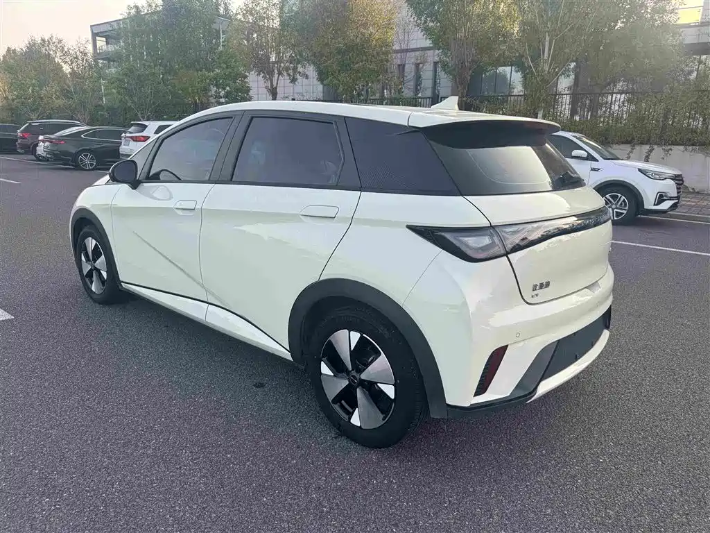 BYD Dolphin — миниатюра 4