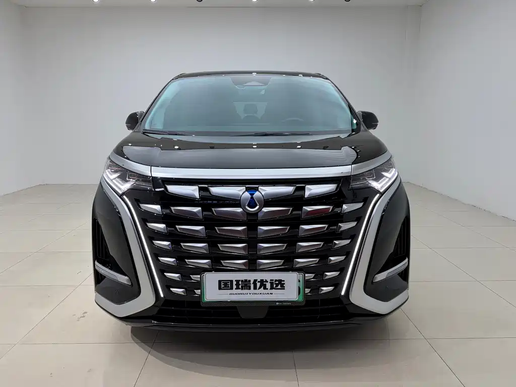 Denza Denza D9 — миниатюра 2