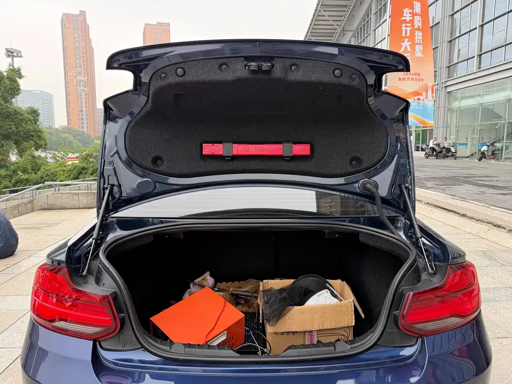 BMW 2 Series (Import) — миниатюра 10