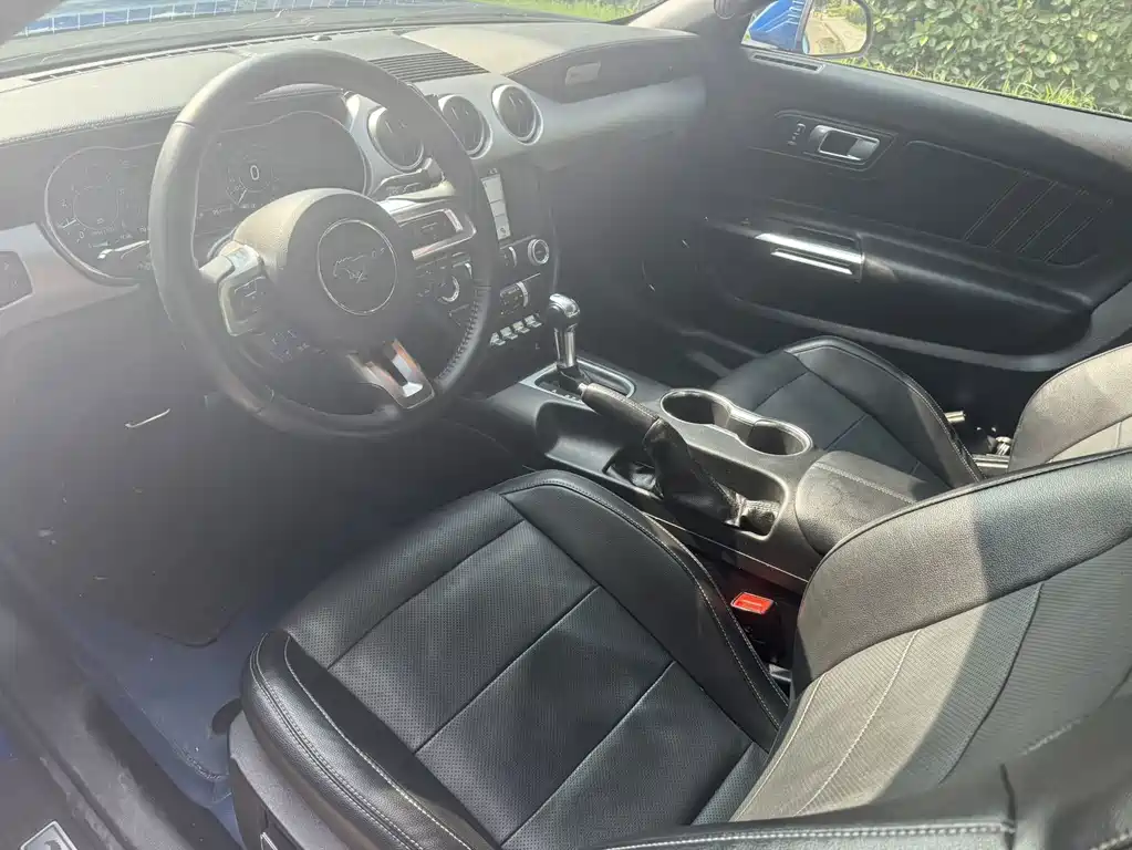Ford Mustang — миниатюра 6