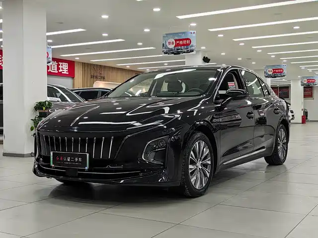 Hongqi HONGQI E QM5 2024