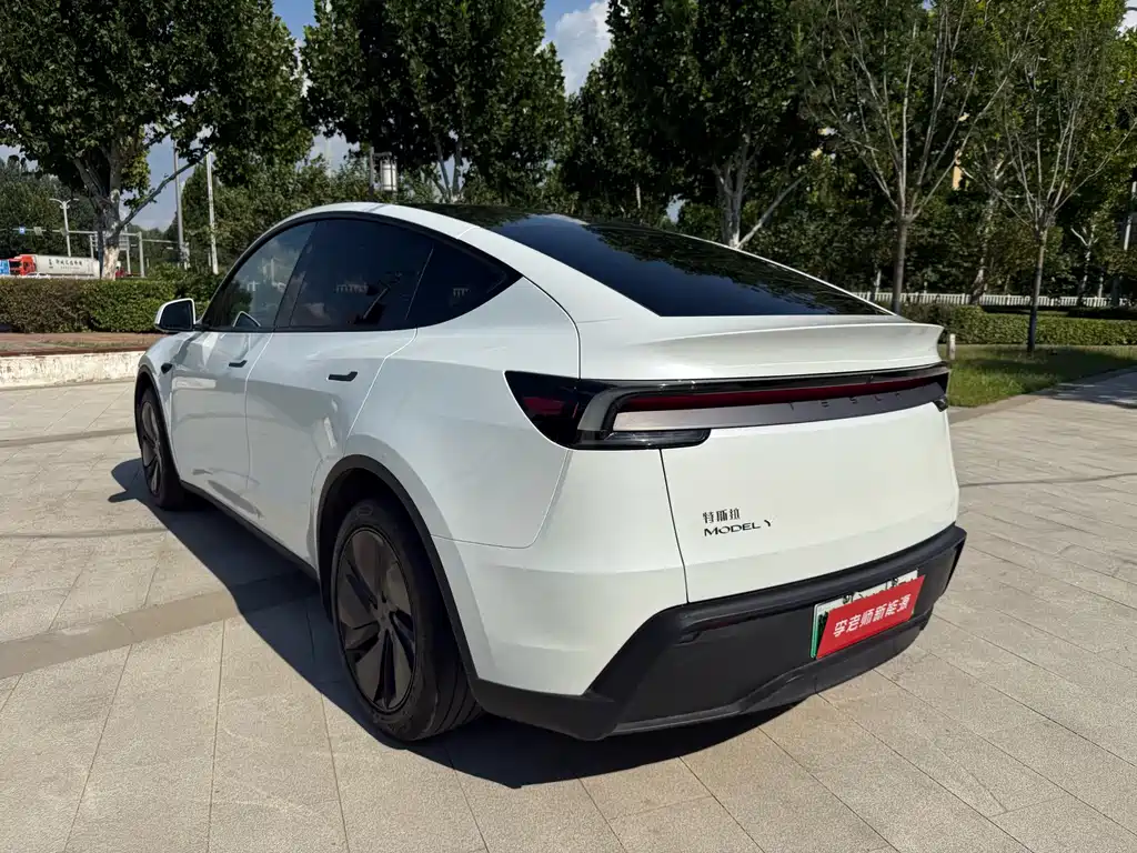 Tesla Model Y — миниатюра 6