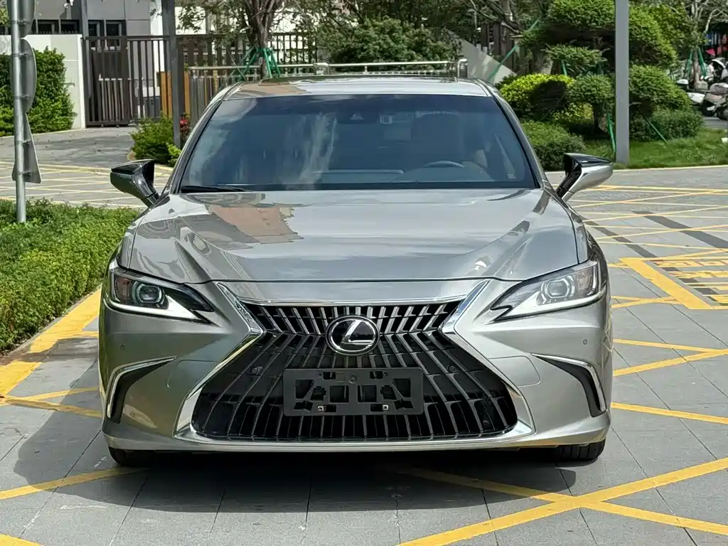 Lexus ES 2023 200 Luxury