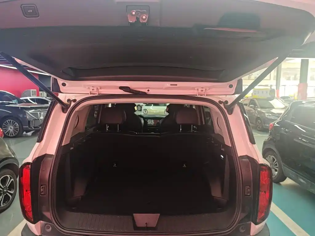 Haval Cool Dog — миниатюра 19