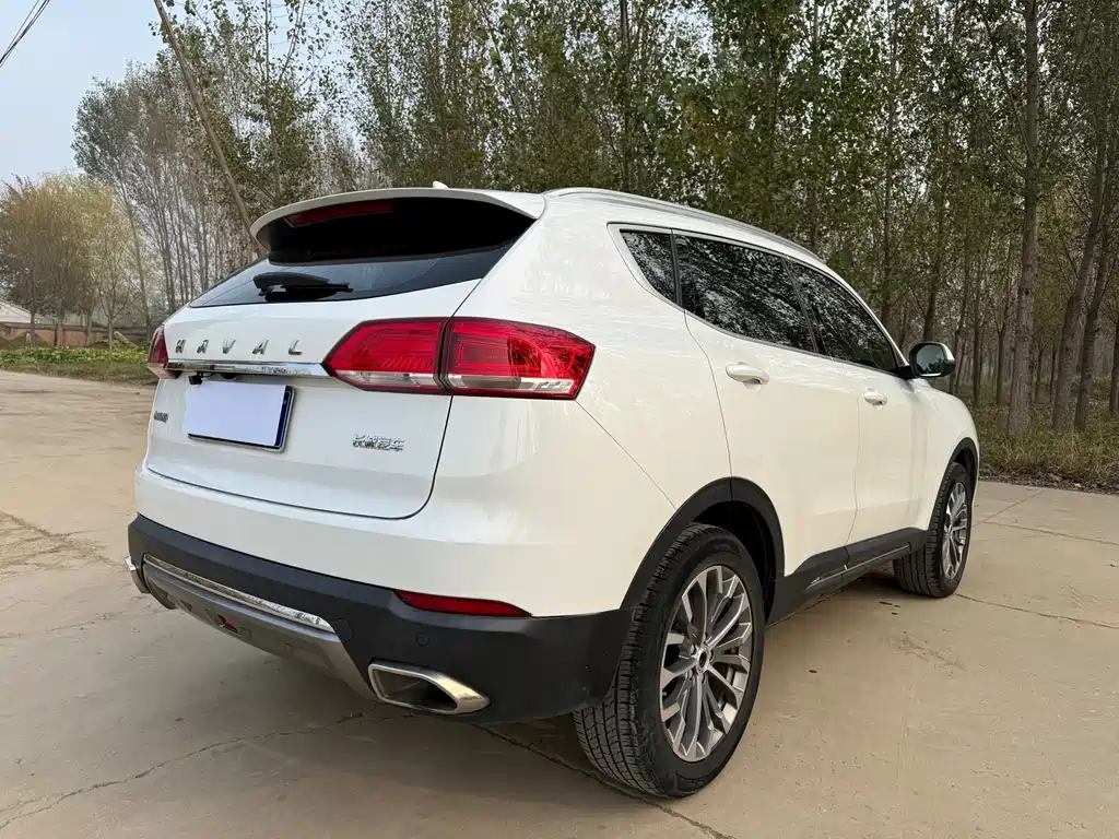 Haval H6 — миниатюра 7