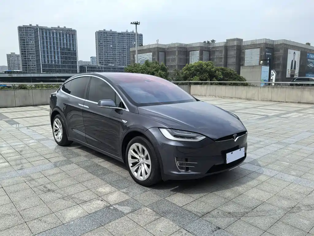 Tesla Model X — миниатюра 3