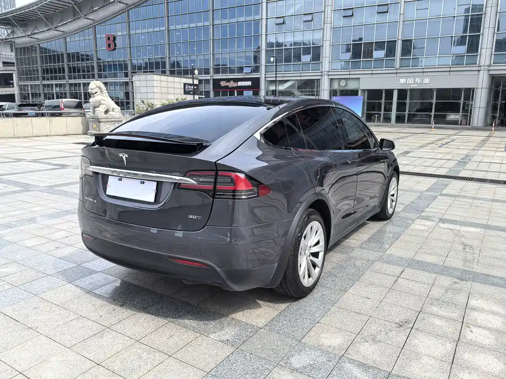 Tesla Model X — миниатюра 7