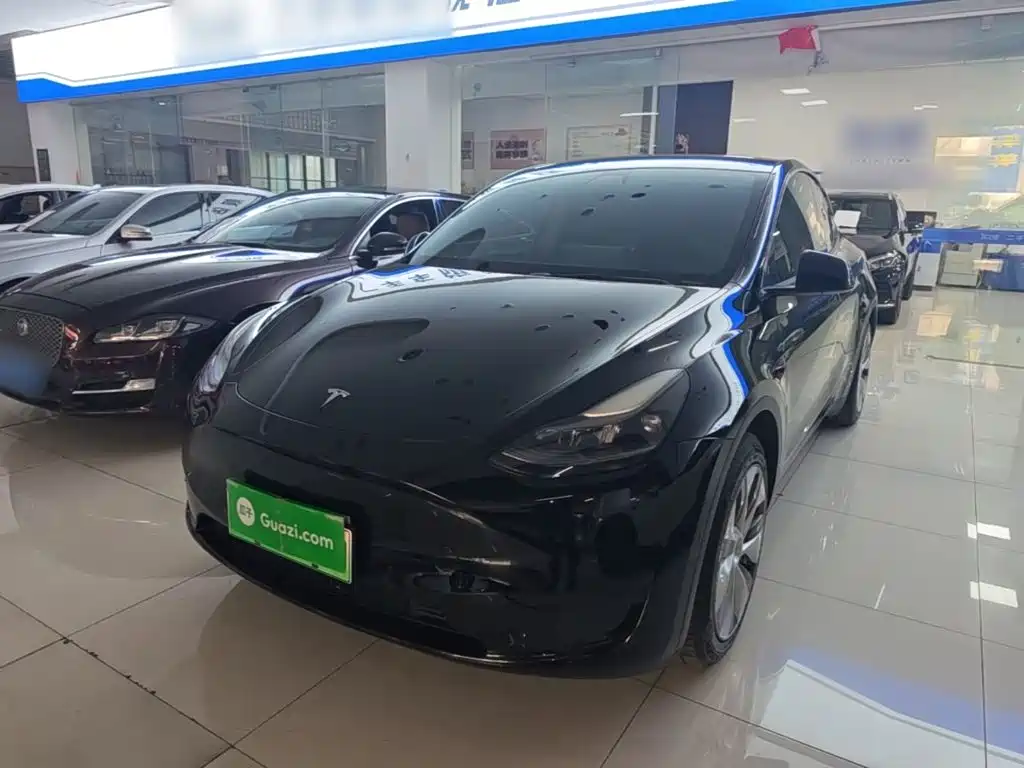 Tesla Model Y — миниатюра 2