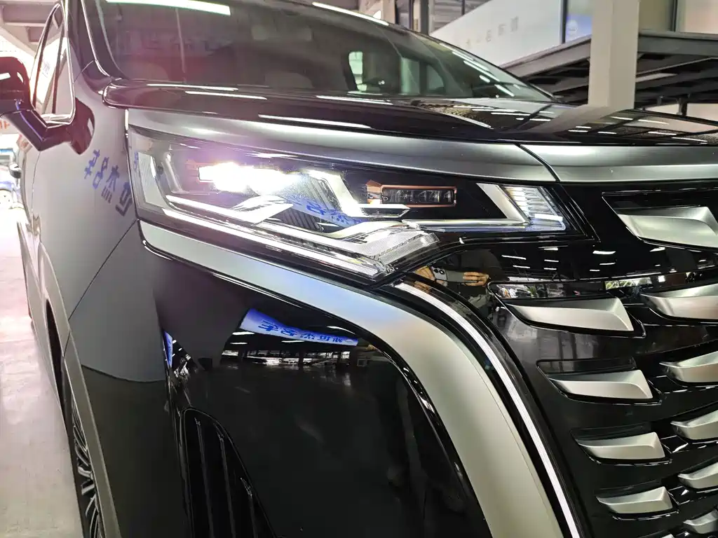 Denza Denza D9 — миниатюра 16