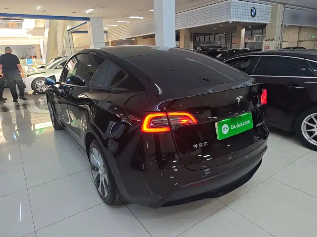 Tesla Model Y — миниатюра 5