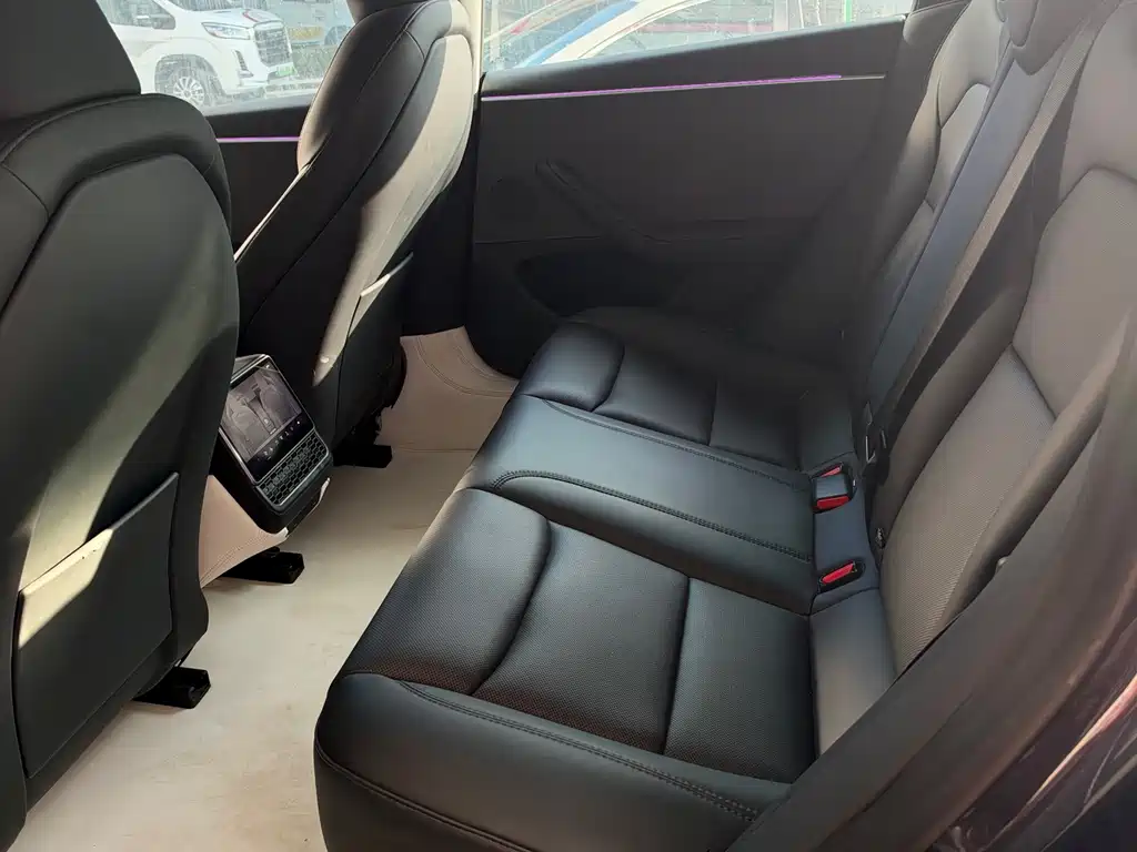 Tesla Model 3 — миниатюра 8