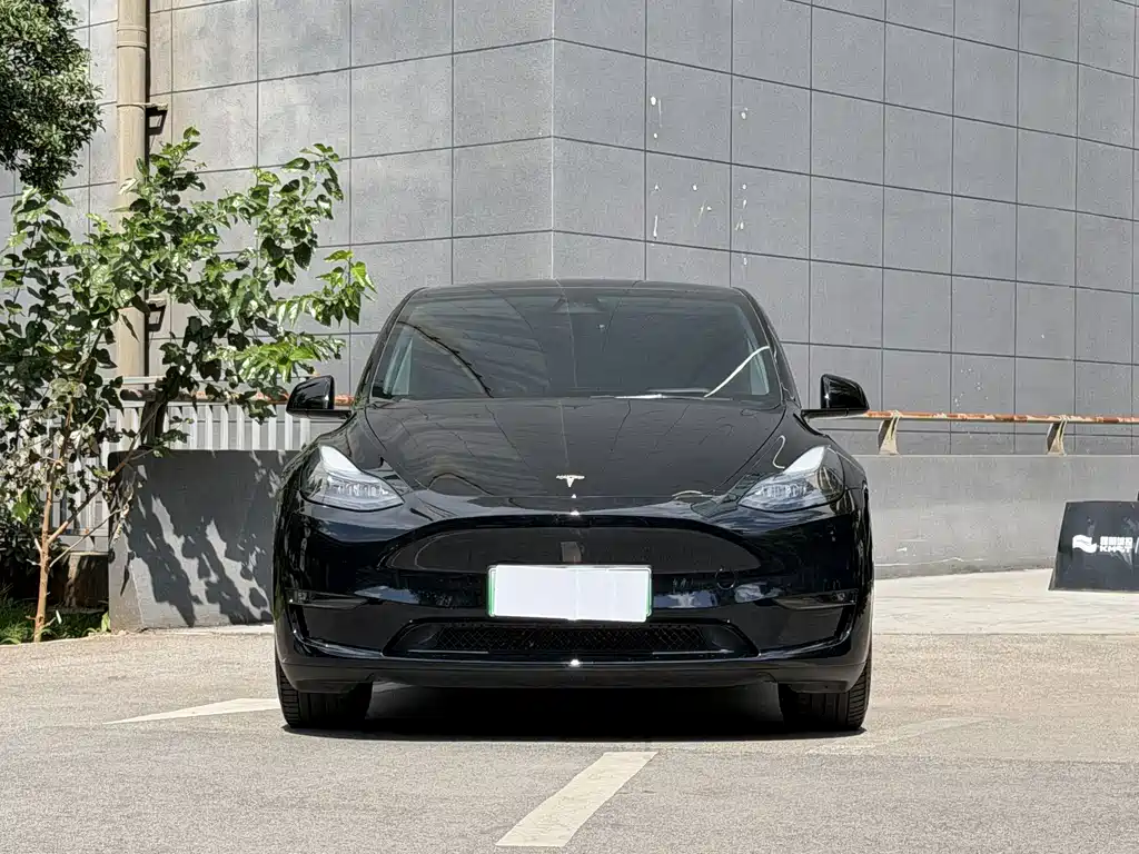 Tesla Model Y — миниатюра 2
