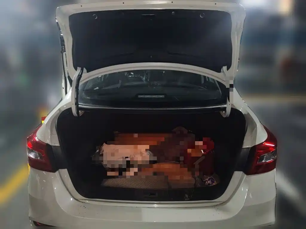 Nissan Sylphy — миниатюра 20