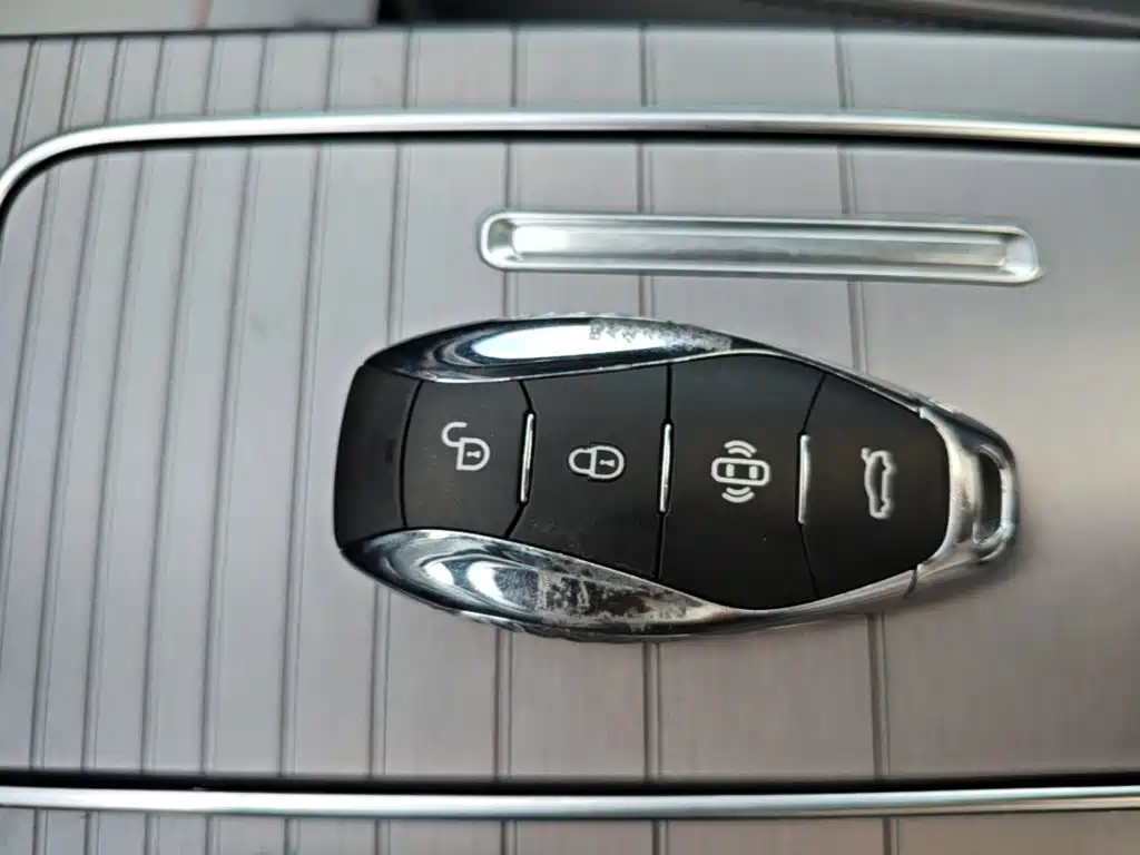 Hongqi Hongqi HS7 PHEV — миниатюра 9