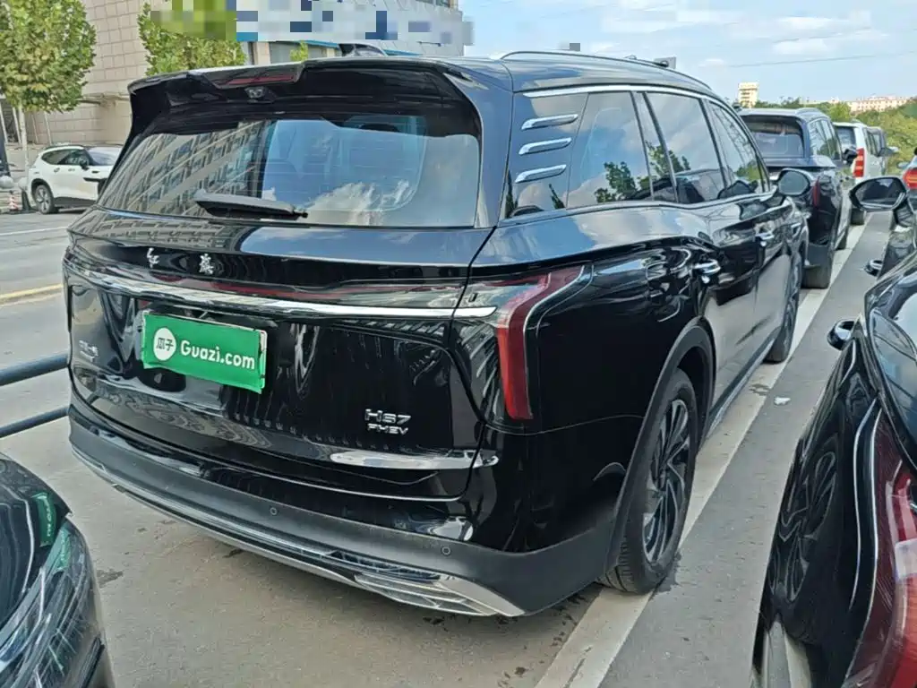 Hongqi Hongqi HS7 PHEV — миниатюра 7