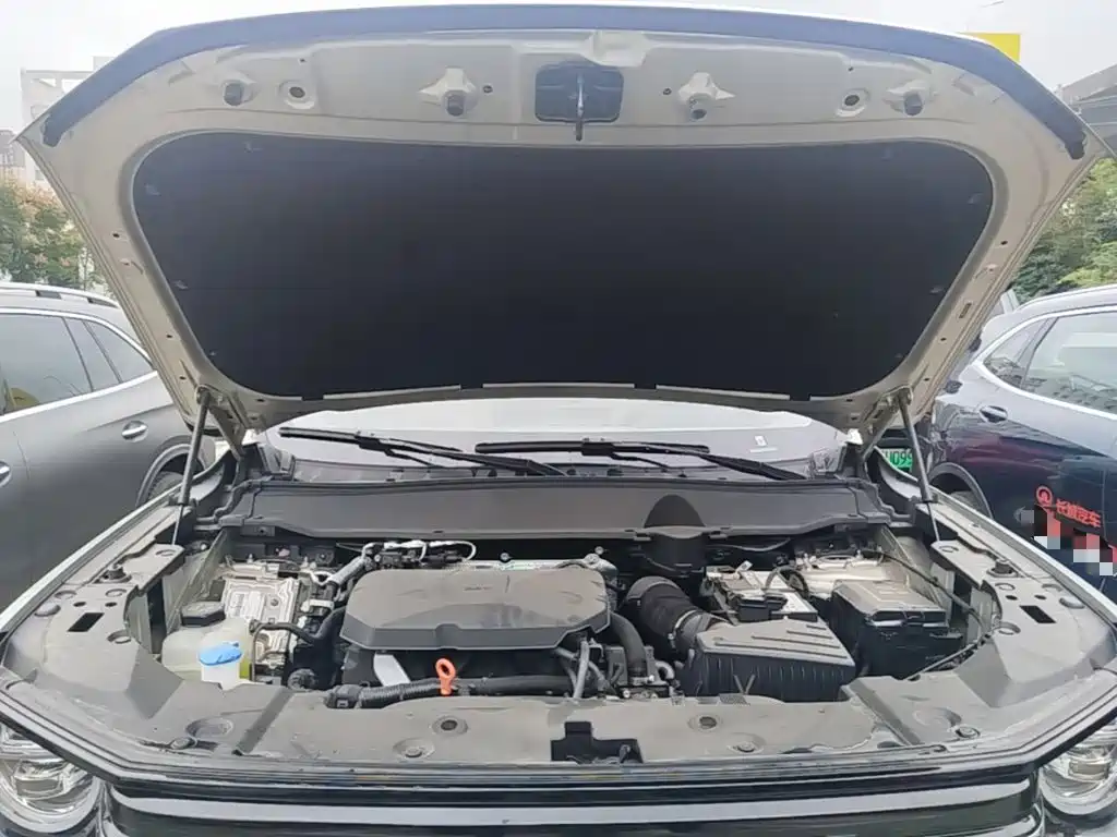 Haval Big Dog PLUS — миниатюра 17