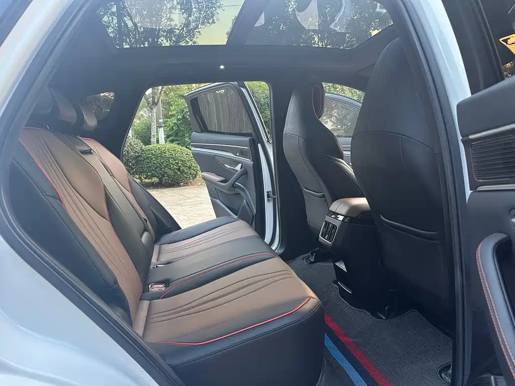 BYD PLUS — миниатюра 10